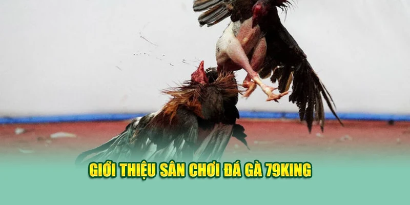 Giới thiệu sân chơi đá gà 79King